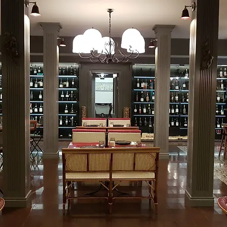 酒店 维达哥宫酒店 维达古