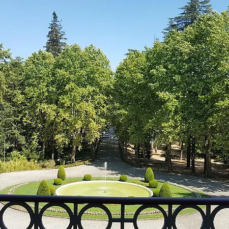 Palace 5*